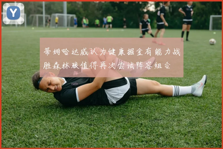 蒂姆哈达威认为健康掘金有能力战胜森林狼值得再次尝试阵容组合