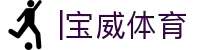 宝威体育(BAOWEISPORT)官方网站-最专业体育游戏